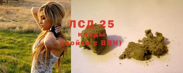 твердый Абаза