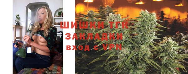 твердый Абаза