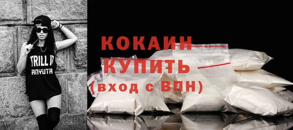 твердый Абаза
