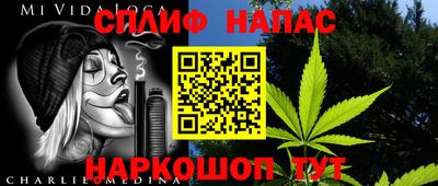 гидра Майкоп
