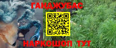 гидра Майкоп