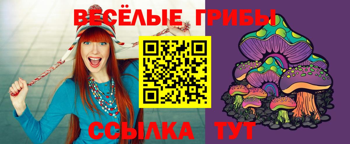 Галлюциногенные грибы Cubensis  Галлюциногенные грибы мухоморы  Балаково  как найти наркотики  Вход с VPN 