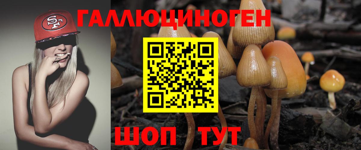 Псилоцибиновые грибы Cubensis Балаково